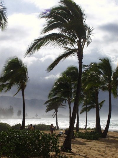 Oahu - North Shore